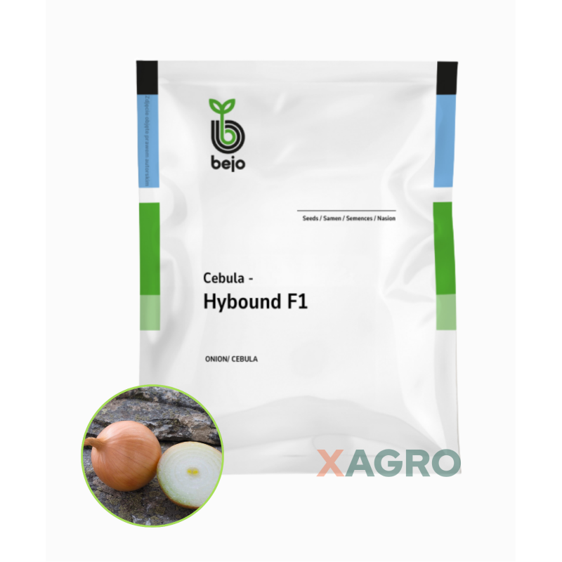 Cebula Hybound F1 Bejo