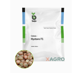 Cebula Hystore F1 Bejo