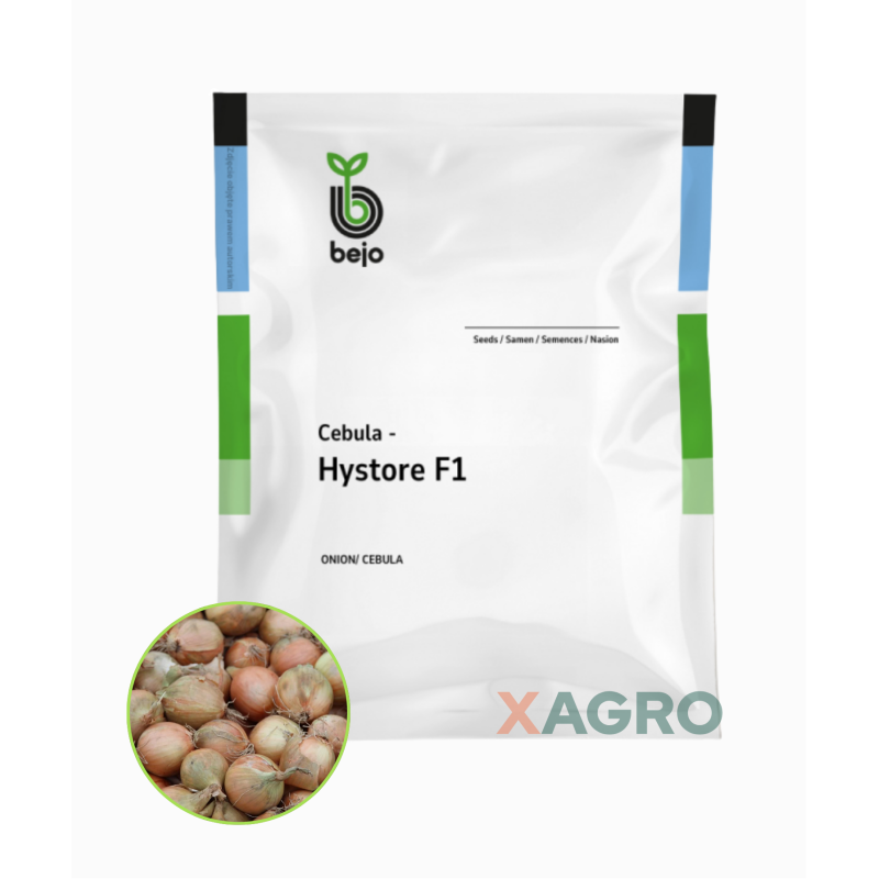 Cebula Hystore F1 Bejo