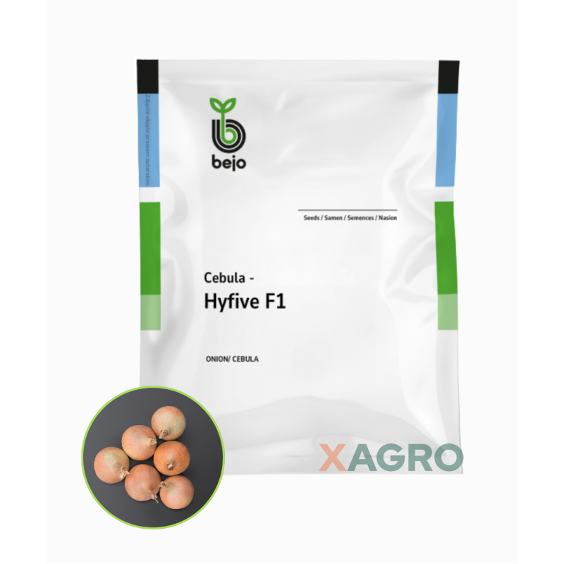 Cebula Hyfive F1 Bejo