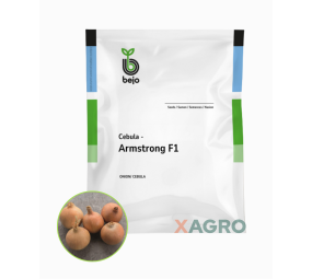 Cebula Armstrong F1 Bejo