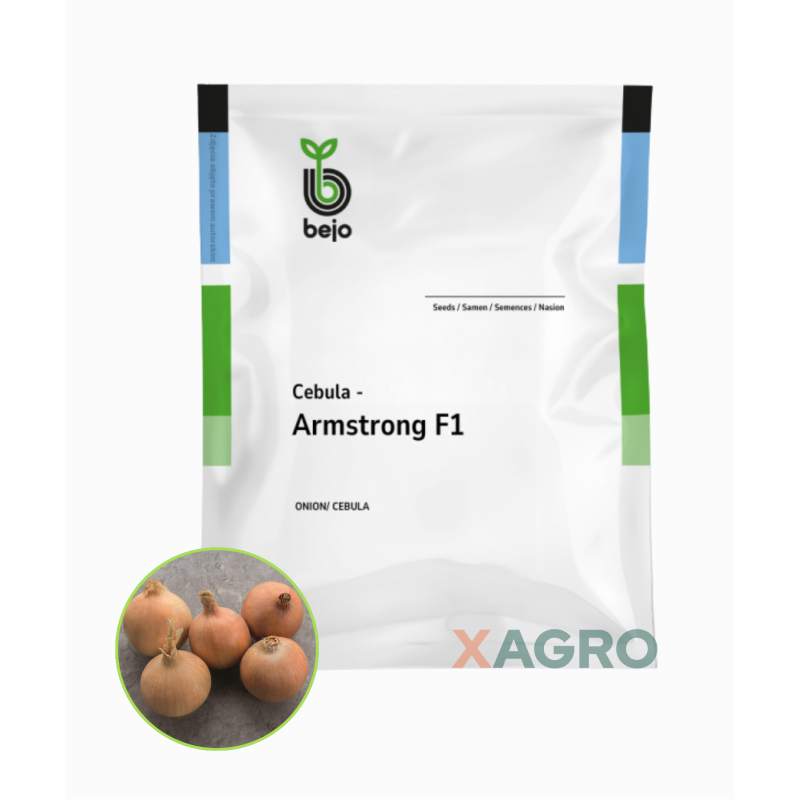 Cebula Armstrong F1 Bejo