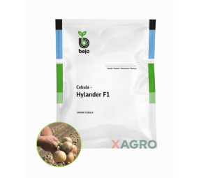 Cebula Hylander F1 Bejo