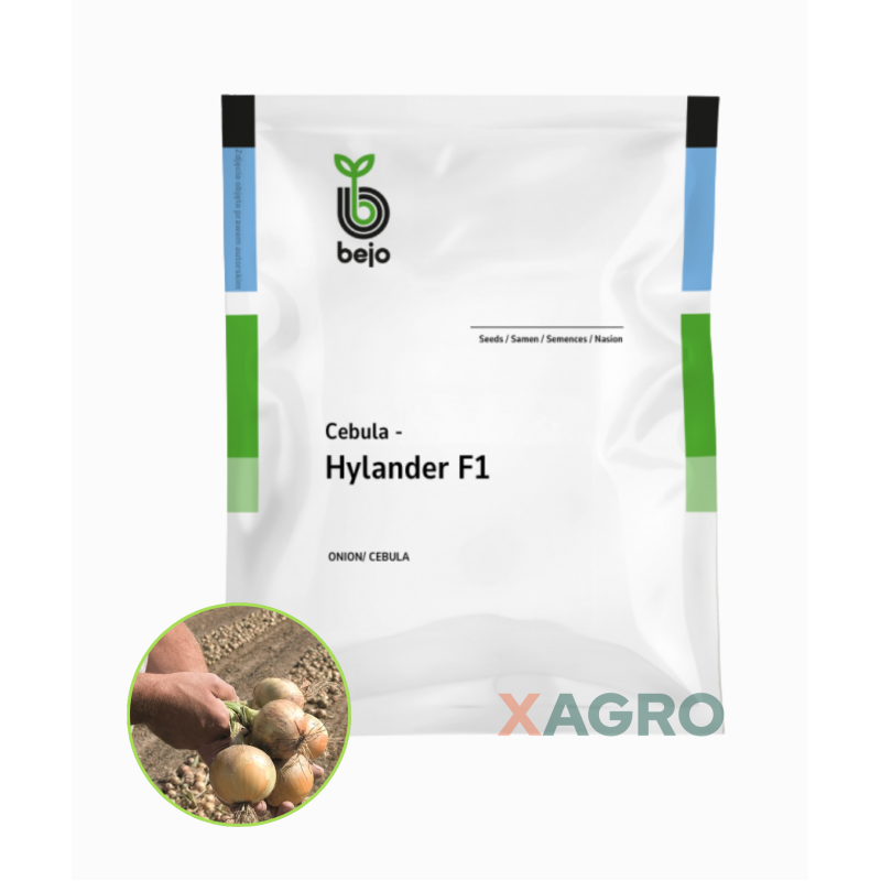 Cebula Hylander F1 Bejo