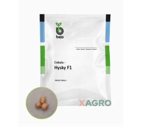 Cebula Hysky F1 Bejo