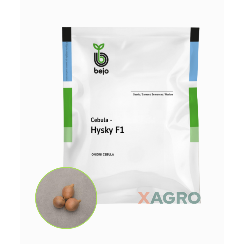 Cebula Hysky F1 Bejo