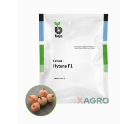 Cebula Hytune F1 Bejo