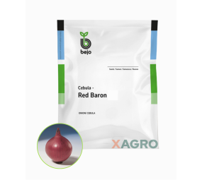 Cebula czerwona Red Baron Bejo