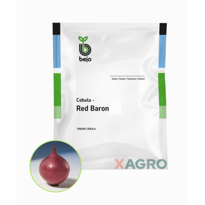 Cebula czerwona Red Baron Bejo