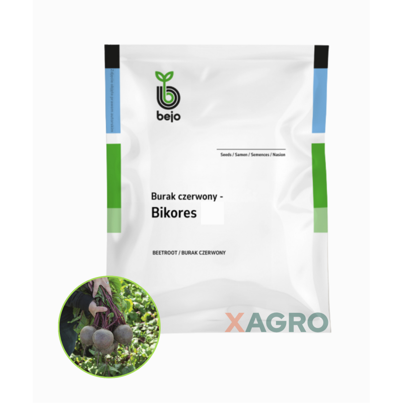 Burak ćwikłowy Bikores Bejo