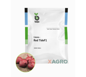 Cebula czerwona Red Tide F1 Bejo