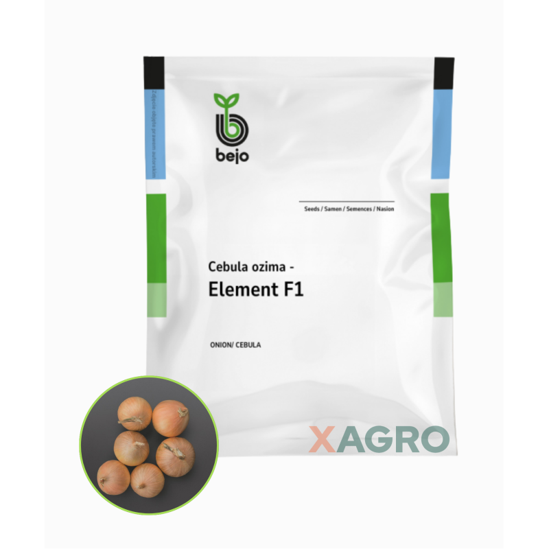 Cebula ozima Element F1 Bejo