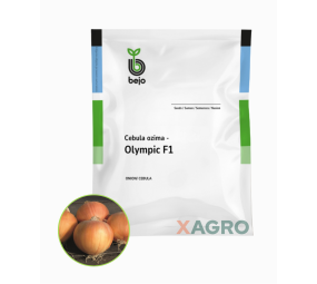 Cebula ozima Olympic F1 Bejo