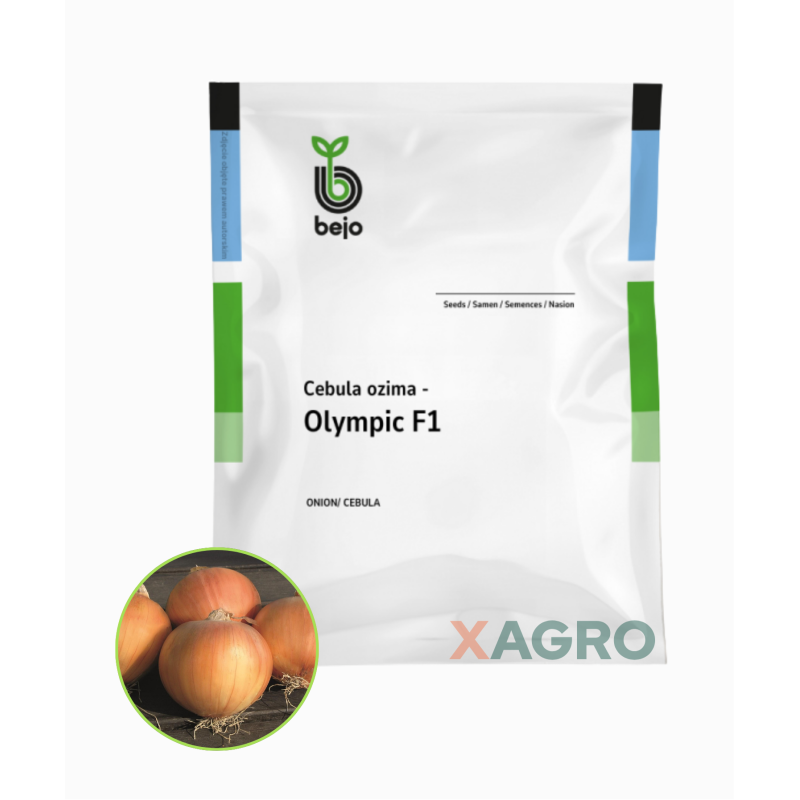 Cebula ozima Olympic F1 Bejo