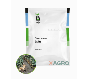 Cebula ozima Swift Bejo