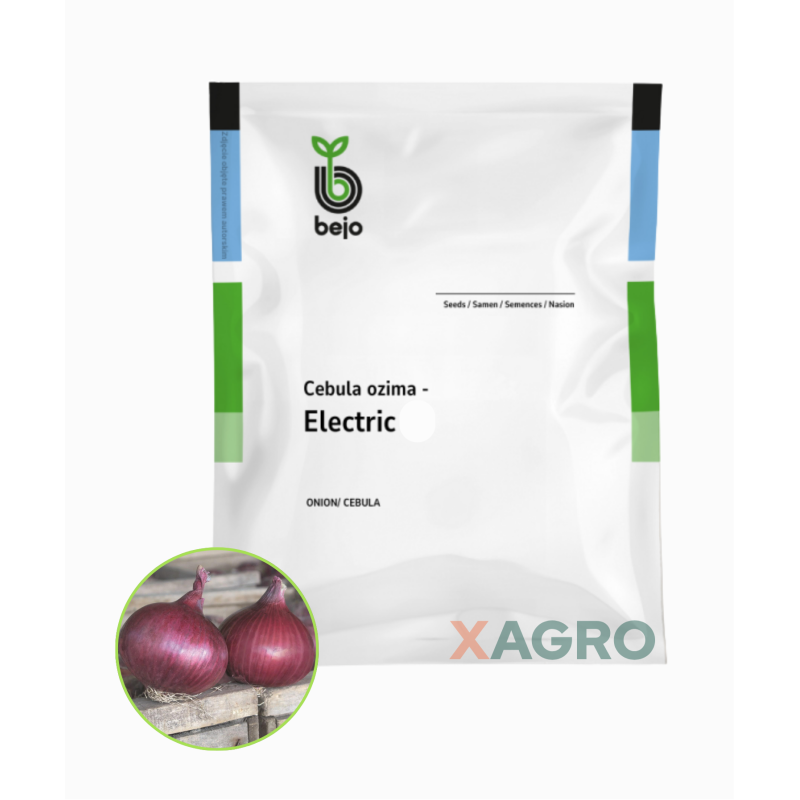 Cebula ozima czerwona Electric Bejo