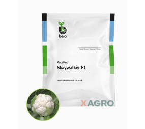 Kalafior Skywalker F1 Bejo