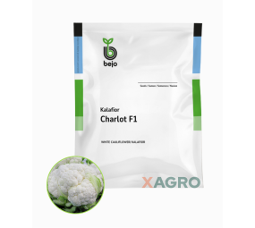 Kalafior Charlot F1 Bejo