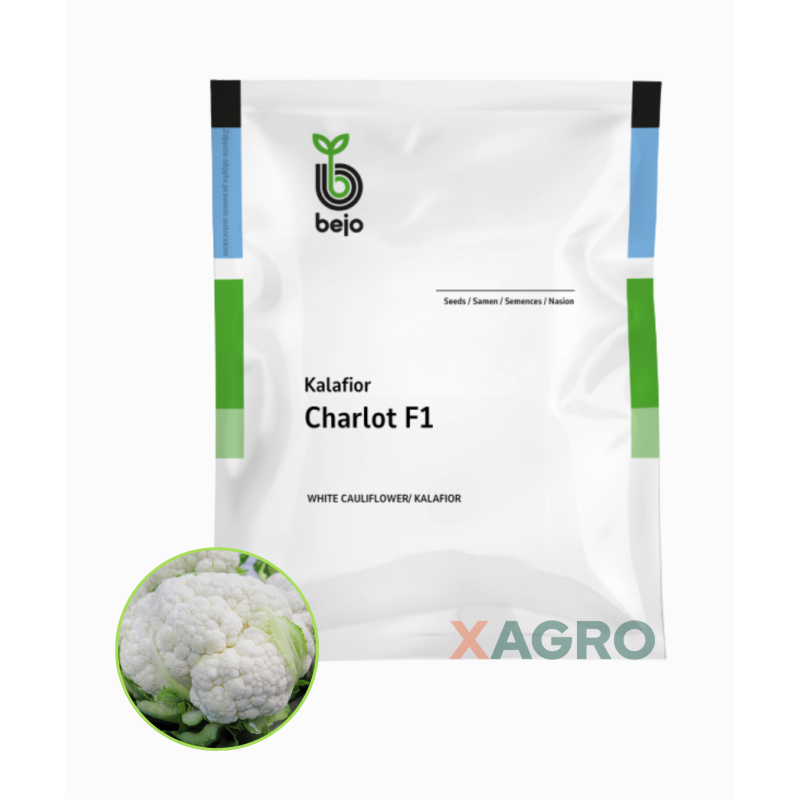 Kalafior Charlot F1 Bejo