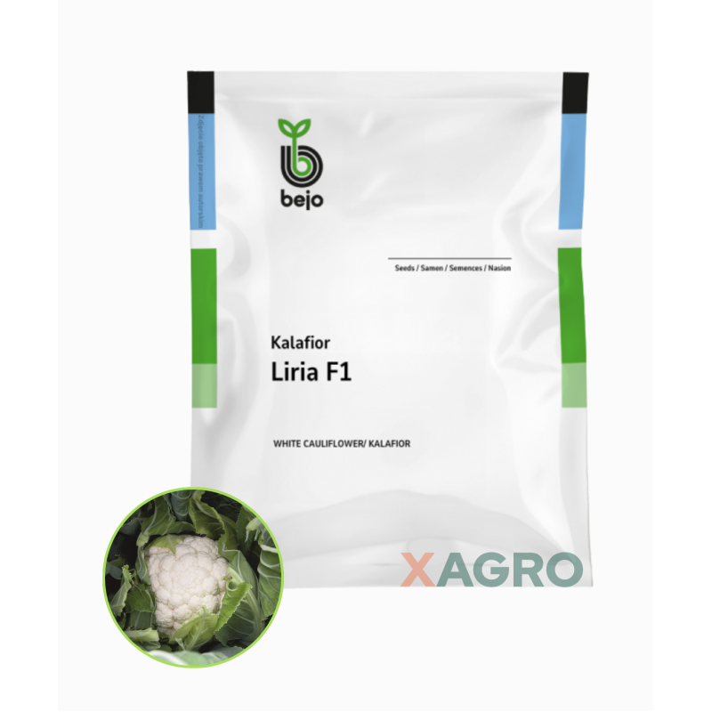 Kalafior Liria F1 Bejo