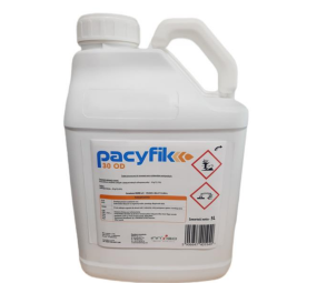 Pacyfik 30 OD