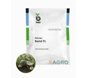 Kalarepa Korist F1 Bejo
