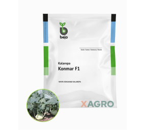 Kalarepa Konmar F1 Bejo