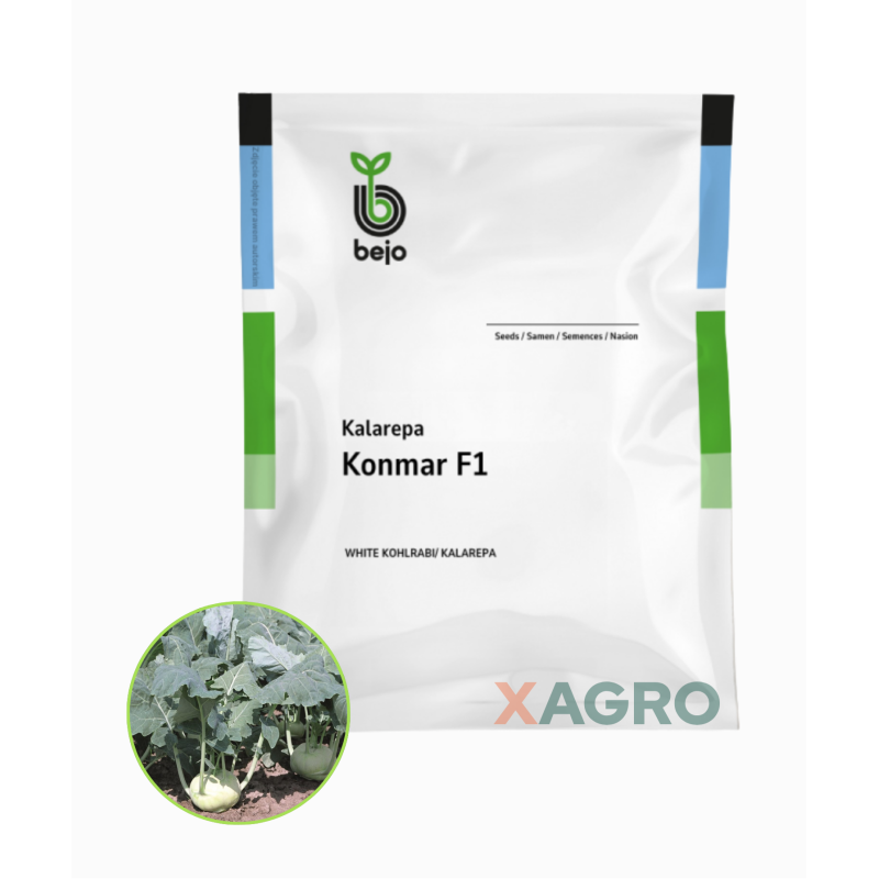 Kalarepa Konmar F1 Bejo