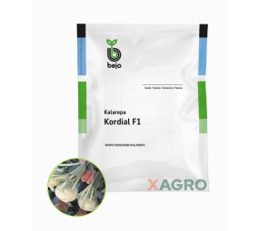 Kalarepa Kordial F1 Bejo