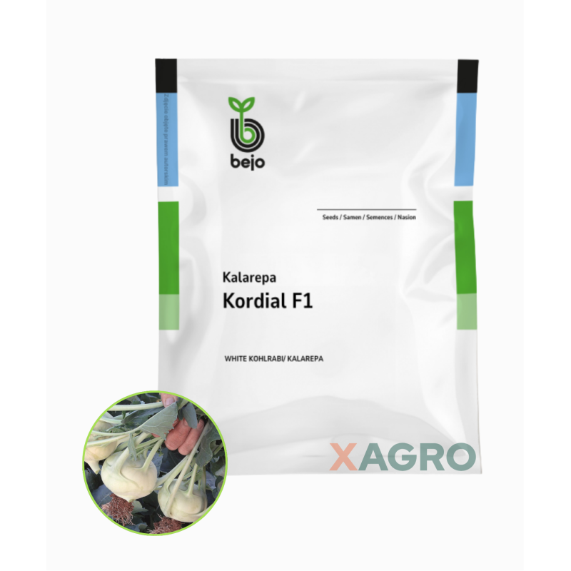 Kalarepa Kordial F1 Bejo