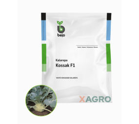 Kalarepa Kossak F1 Bejo