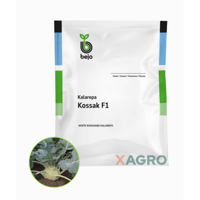 Kalarepa Kossak F1 Bejo