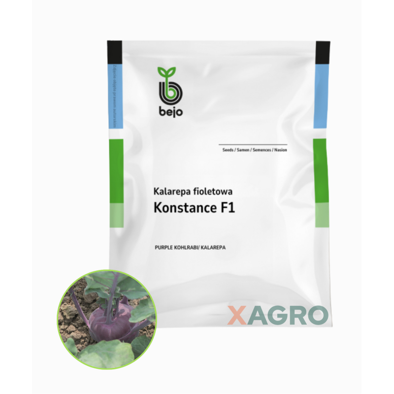 Kalarepa Konstance F1 fioletowa Bejo