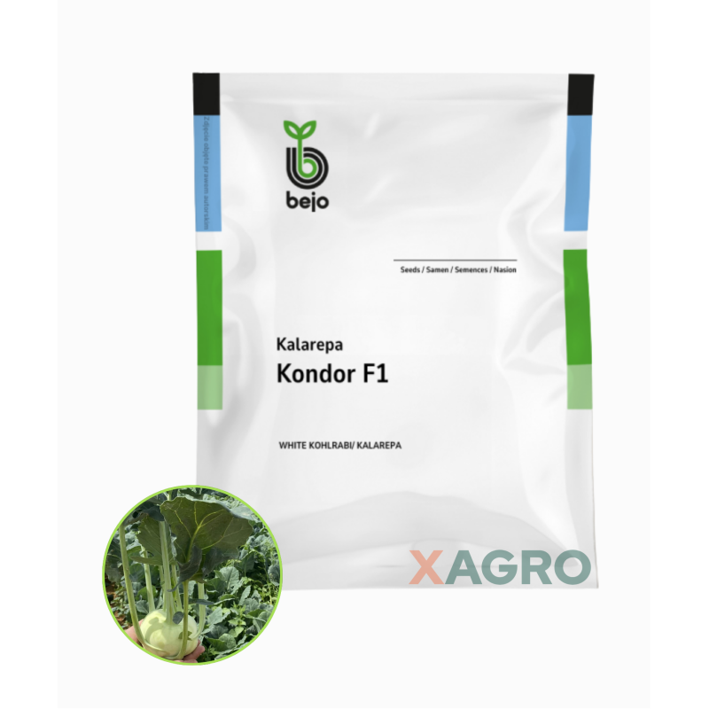 Kalarepa Kondor F1 Bejo