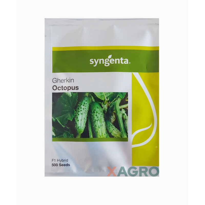 Ogórek gruntowy konserwowy Octopus F1