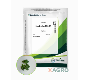 Ogórek gruntowy konserwowy Nadusha Mix F1