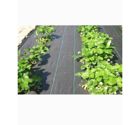 Agrotkanina antychwastowa PP 70 g