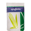Kukurydza Fanfara SY