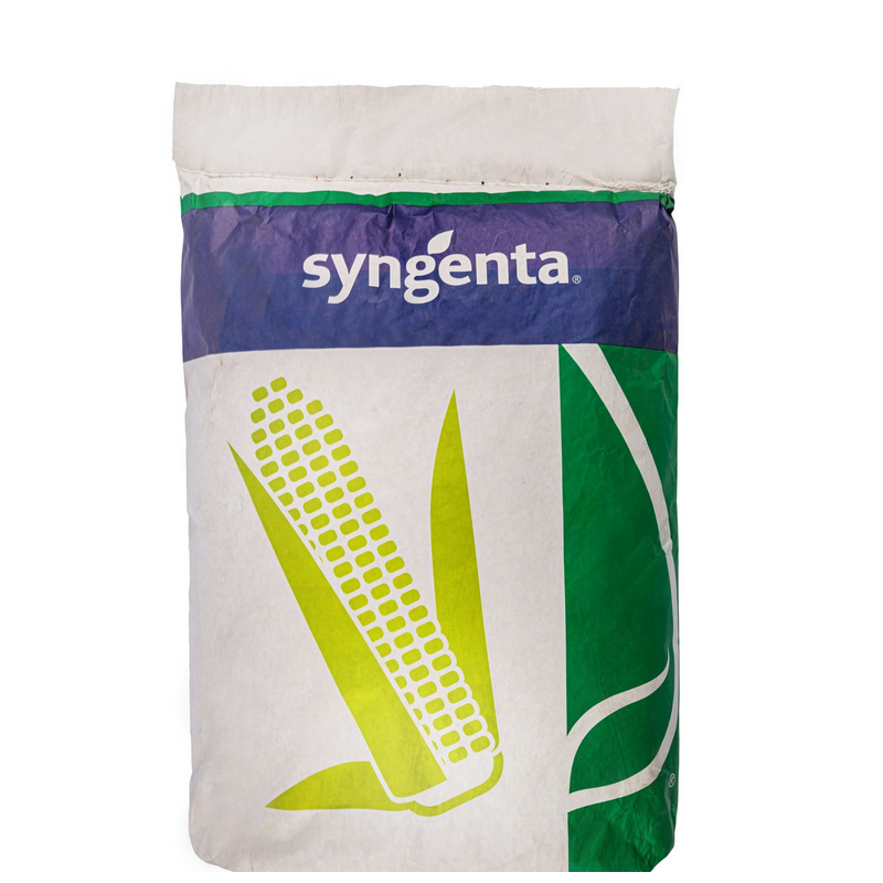 Kukurydza Fregat C1 SY