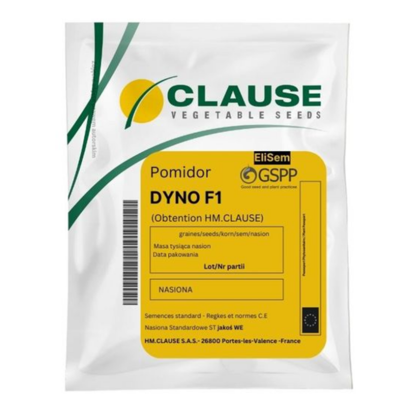 Pomidor Dyno F1
