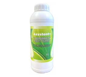 Asystent +