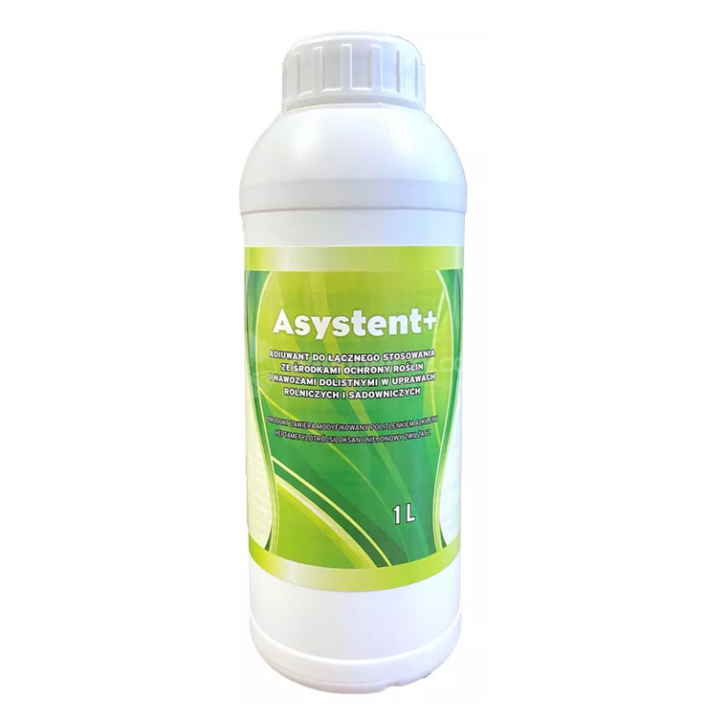 Asystent +  (sprzedaż tylko w zestawie)