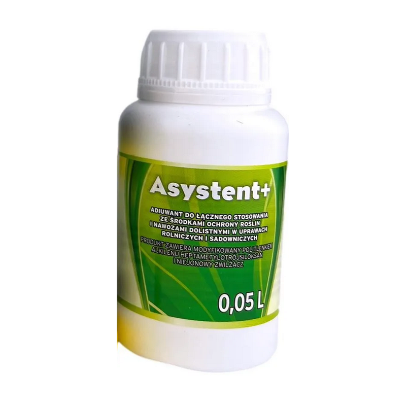 Asystent +