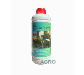 Energy Seeds