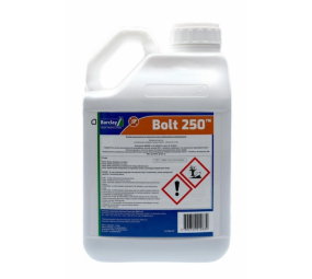Bolt 250