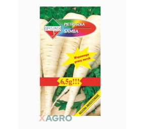 Pietruszka korzenna Samba