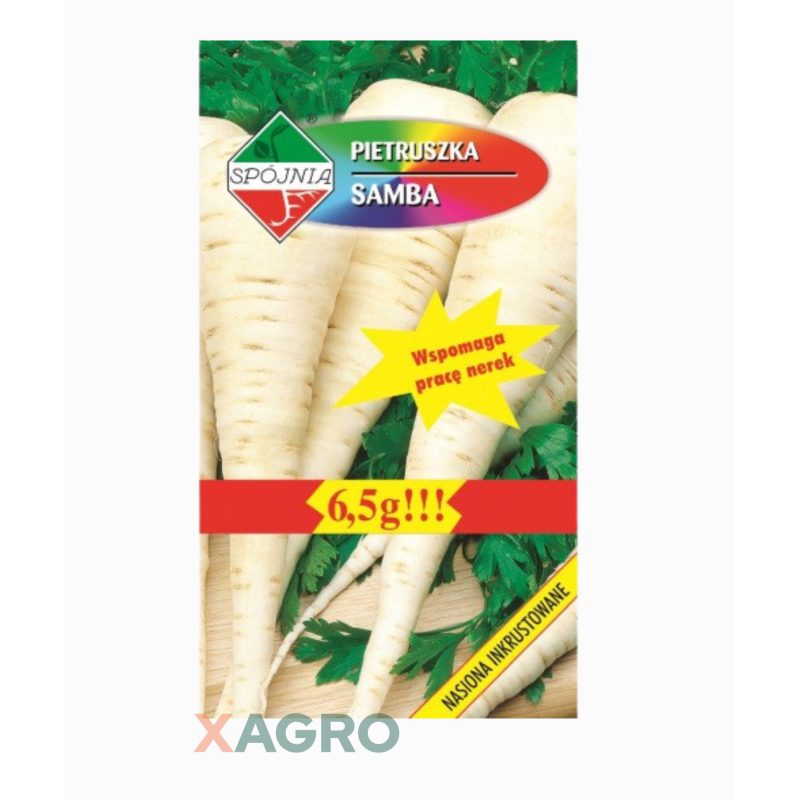 Pietruszka korzenna Samba