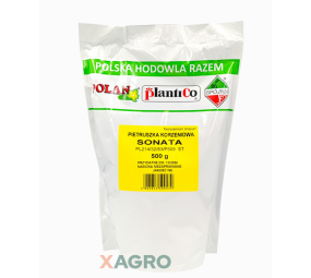 Pietruszka korzeniowa Sonata Spójnia