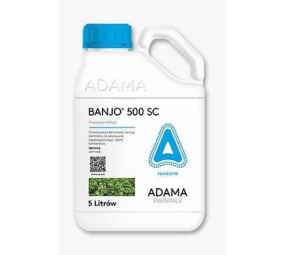 Banjo 500 SC