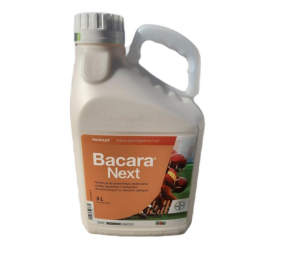 Bacara Next